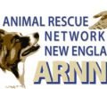 arnne_logo